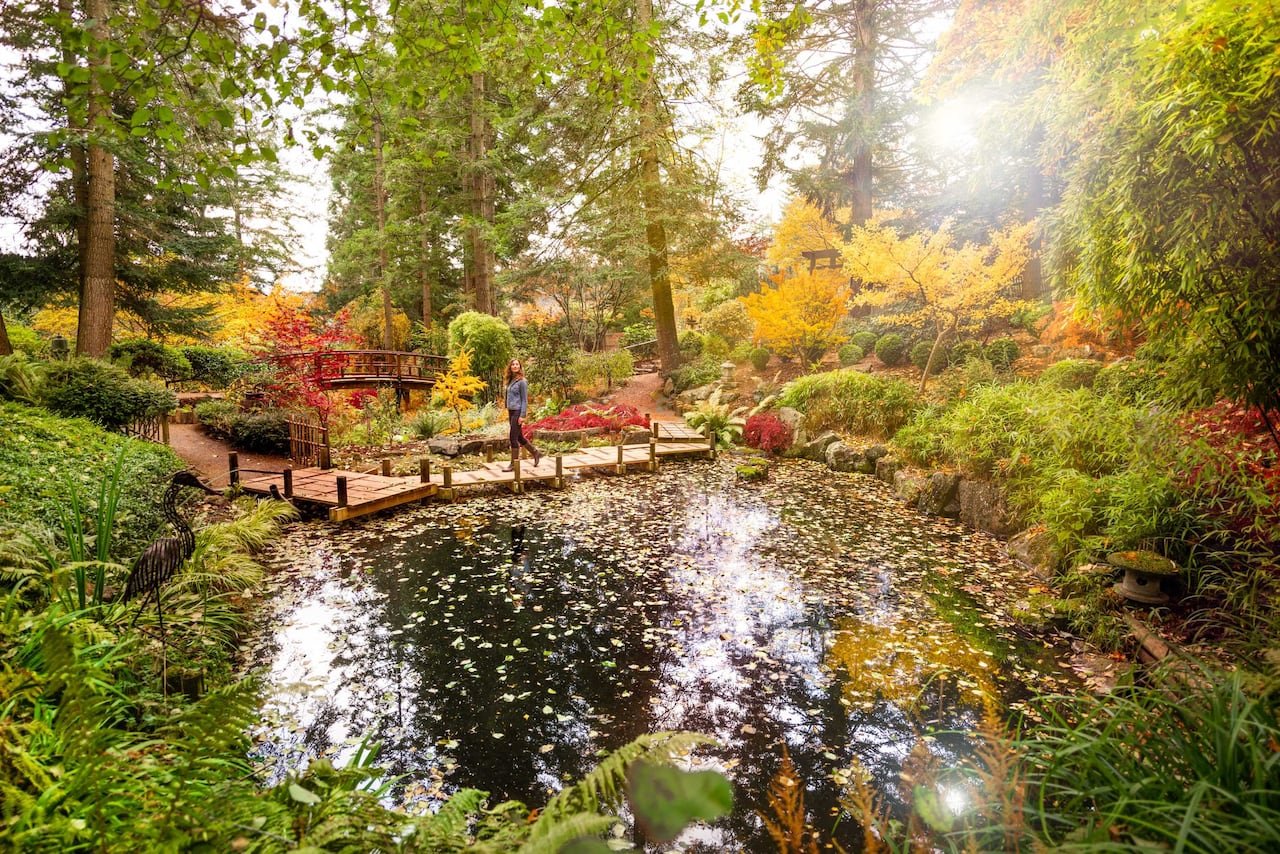 A person stands on a wooden walkway beside a pond in colourful public gardens in fall.